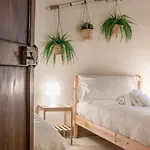Story House - Pisa